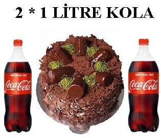 Muzlu Çikolatalı Pasta ve Çift Cola Avantaj Paketi Antalya pasta